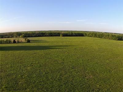 TBD CR 14790, Paris, Texas 75462, Stati Uniti