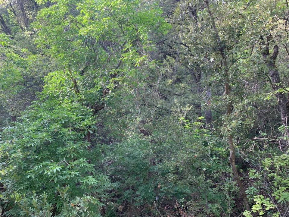 1779 Pennsylvania Gulch Road, Murphys, California 95247