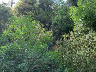 1779 Pennsylvania Gulch Road, Murphys, California 95247