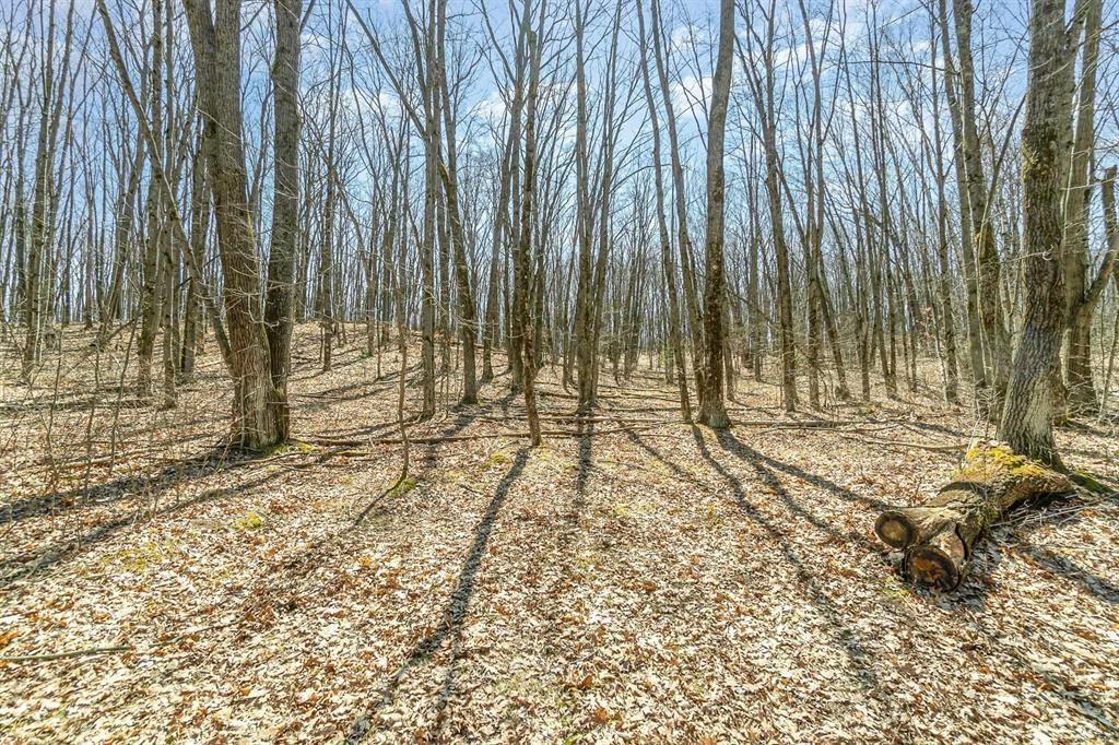 10.1 Acres Nancy Ann, Gladwin, Michigan 48624, Estados Unidos
