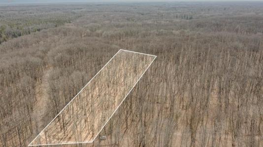 10.1 Acres Nancy Ann, Gladwin, Michigan 48624, Estados Unidos