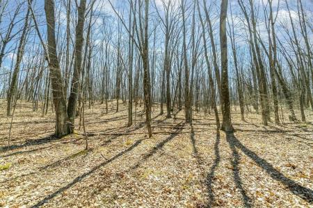 10.1 Acres Nancy Ann, Gladwin, Michigan 48624, Estados Unidos