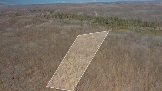 10.1 Acres Nancy Ann, Gladwin, Michigan 48624, Estados Unidos