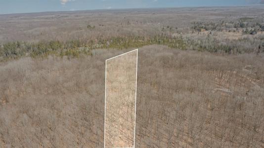 10.1 Acres Nancy Ann, Gladwin, Michigan 48624, Estados Unidos