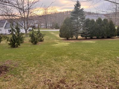 247 Hemlock Drive, Portage, Pennsylvania 15946, Estados Unidos