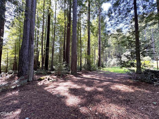 43700 Tibbens Lane, Mendocino, California 95460