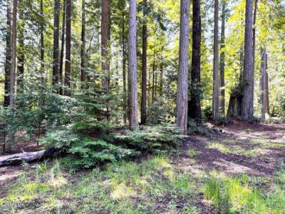 43700 Tibbens Lane, Mendocino, California 95460