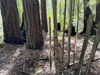 43700 Tibbens Lane, Mendocino, California 95460