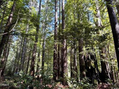 43700 Tibbens Lane, Mendocino, California 95460, USA