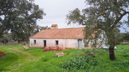 Santiago Do Cacém, سيتوبال 7540-300, البرتغال