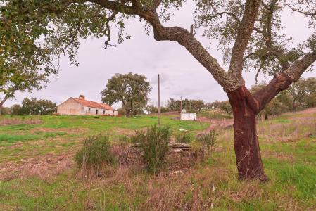 Santiago Do Cacém, سيتوبال 7540-300, البرتغال