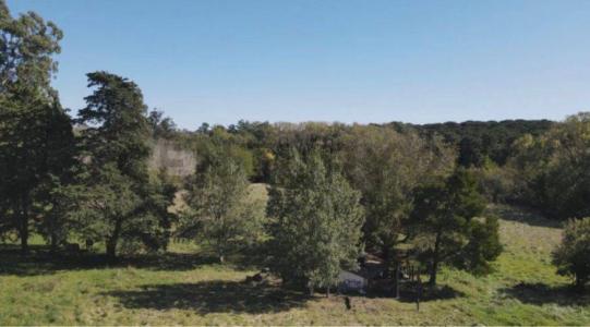 Huasañan , Tandil, Buenos Aires (fuera De GBA) 00001, Argentina