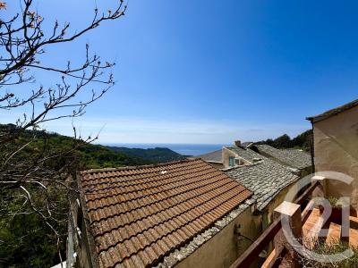 Centuri, Corse 20238, צרפת 