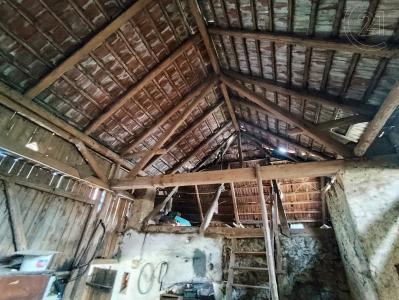 Chrtníč, Havlíčkův Brod 58282, República Checa