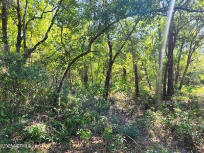 203 Southern Ave, Crescent City, Florida 32112, Stati Uniti