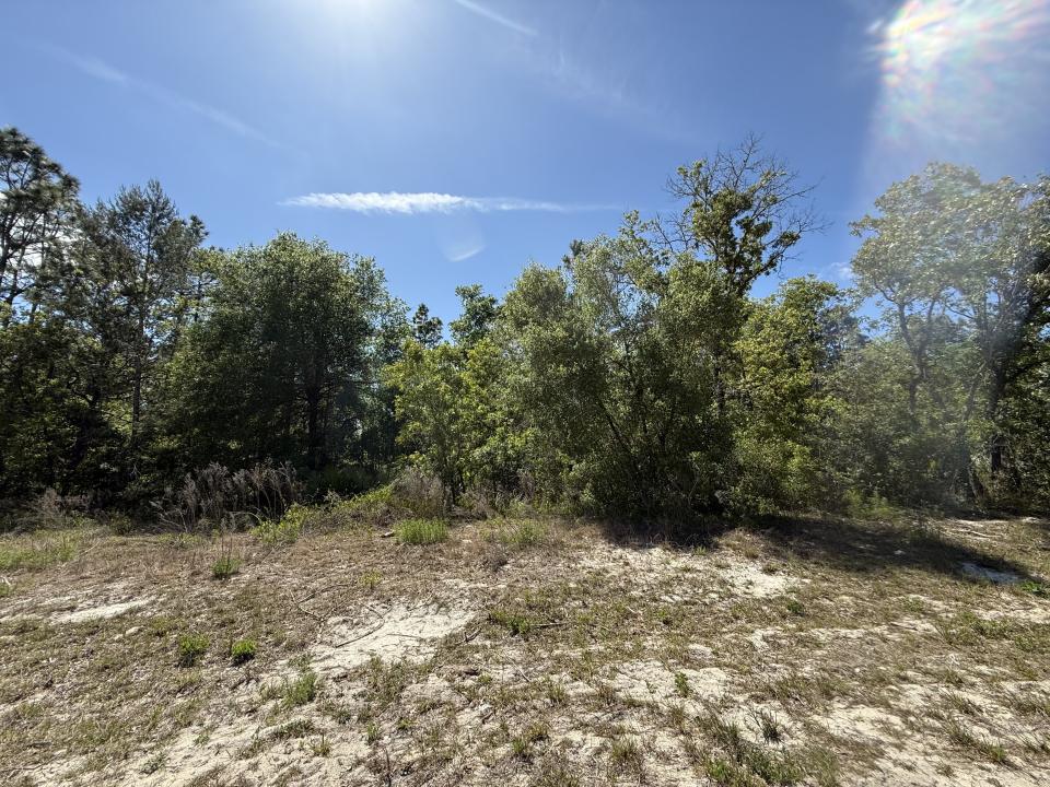 Southwest 98th Terrace, Dunnellon, Florida 34432, Amerika Birleşik Devletleri