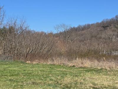 0 County Road 1, South Point, Ohio 45638, USA