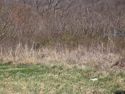 0 County Road 1, South Point, Ohio 45638, USA