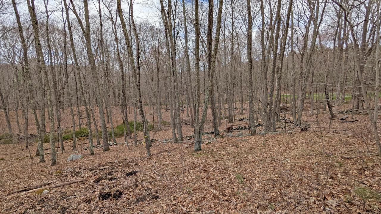 Lot 4 Collie Brook Road, East Hampton, Connecticut 06424, Estados Unidos