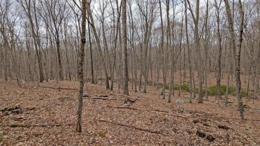Lot 4 Collie Brook Road, East Hampton, Connecticut 06424, Estados Unidos