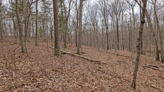 Lot 4 Collie Brook Road, East Hampton, Connecticut 06424, Estados Unidos