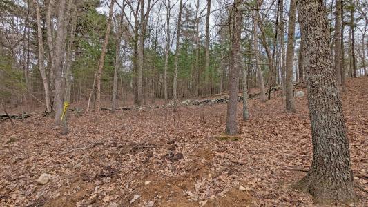 Lot 4 Collie Brook Road, East Hampton, Connecticut 06424, Estados Unidos
