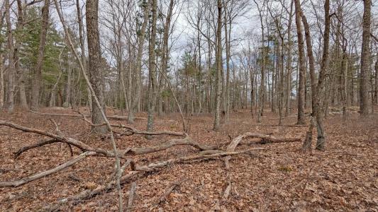 Lot 4 Collie Brook Road, East Hampton, Connecticut 06424, Estados Unidos