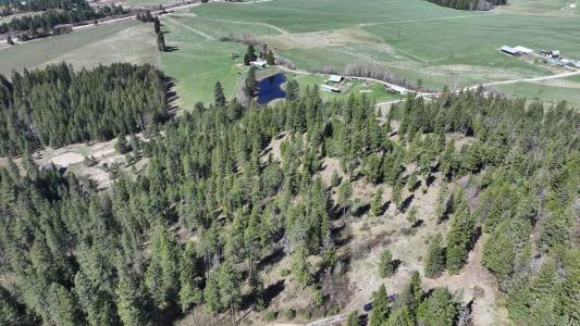 NNA Moose Mountain Rd, Priest River, Idaho 83856