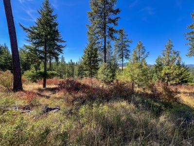 52XX Lot 7 Swenson Rd, Deer Park, Washington 99006, Estados Unidos