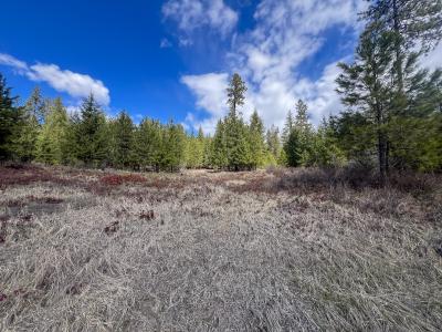 7XX Old Arden Hwy, Colville, Washington 99114