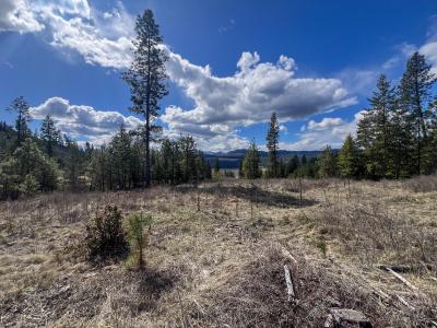 7XX Old Arden Hwy, Colville, Washington 99114