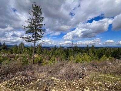52XX Lot 8 Swenson Rd, Deer Park, Washington 99006, Estados Unidos