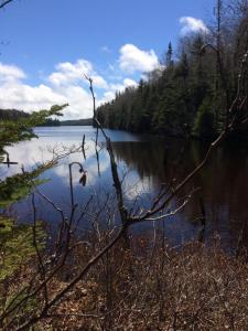 409 HIGHWAY 224, Sheet Harbour, Nova Scotia B0J 3B0, Canada