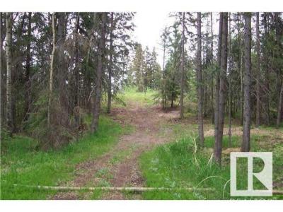 33 57108 RANGE ROAD 220, Rural Sturgeon County, 阿爾伯塔 T0A 2W0, 加拿大