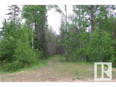 33 57108 RANGE ROAD 220, Rural Sturgeon County, 阿爾伯塔 T0A 2W0, 加拿大