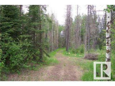 33 57108 RANGE ROAD 220, Rural Sturgeon County, Alberta T0A 2W0, Canada