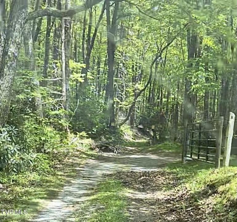 1259 Heaton Branch Road, Butler, Tennessee 37640