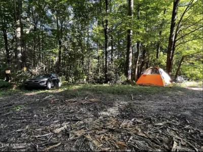 1259 Heaton Branch Road, Butler, Tennessee 37640