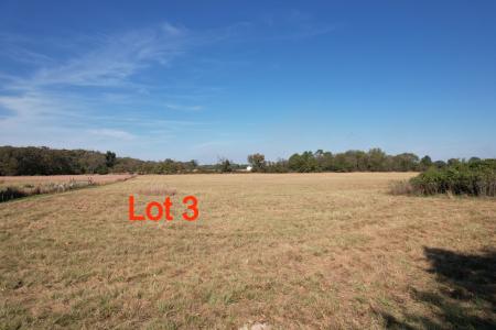 Lot 3 RS County Road 3150, Emory, Texas 75440