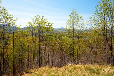 Lot 34 Bell Meadows, Hiawassee, Georgia 30546, USA