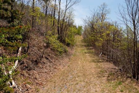 Lot 34 Bell Meadows, Hiawassee, Georgia 30546, USA