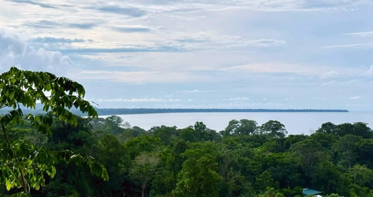 Puerto Viejo Playa Negra Cahuita Talamanca, Limón, كوستاريكا