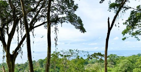 Puerto Viejo Playa Negra Cahuita Talamanca, Limón 70403, Коста-Рика