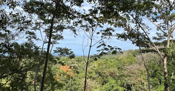 Puerto Viejo Playa Negra Cahuita Talamanca, Limón 70403, Коста-Рика