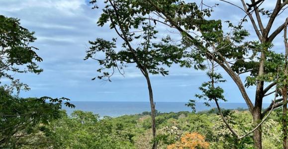 Puerto Viejo Playa Negra Cahuita Talamanca, Limón 70403, Коста-Рика