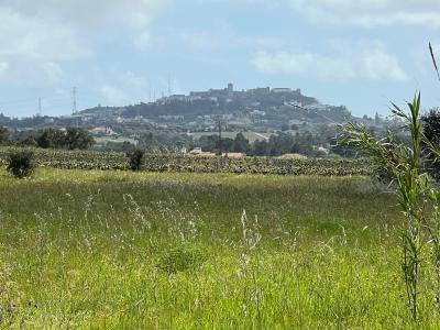 Palmela, Setubal 2955-000, Portugal