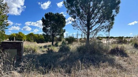 SENDEROS IV 373, Costa Esmeralda, Buenos Aires Costa Atlántica 00001, Argentyna