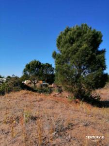 SENDERO IV 373, Costa Esmeralda, Buenos Aires Costa Atlántica 00001, 阿根廷