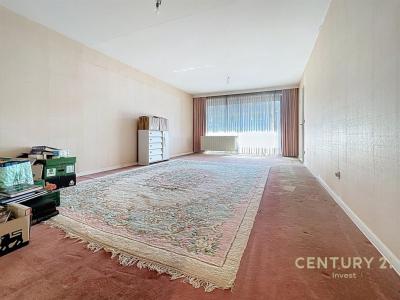 Rue Katteput 26, Berchem-sainte-agathe, 1082, Belgio