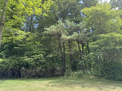 125 W Shore Woods, Douglas, Michigan 49406, USA